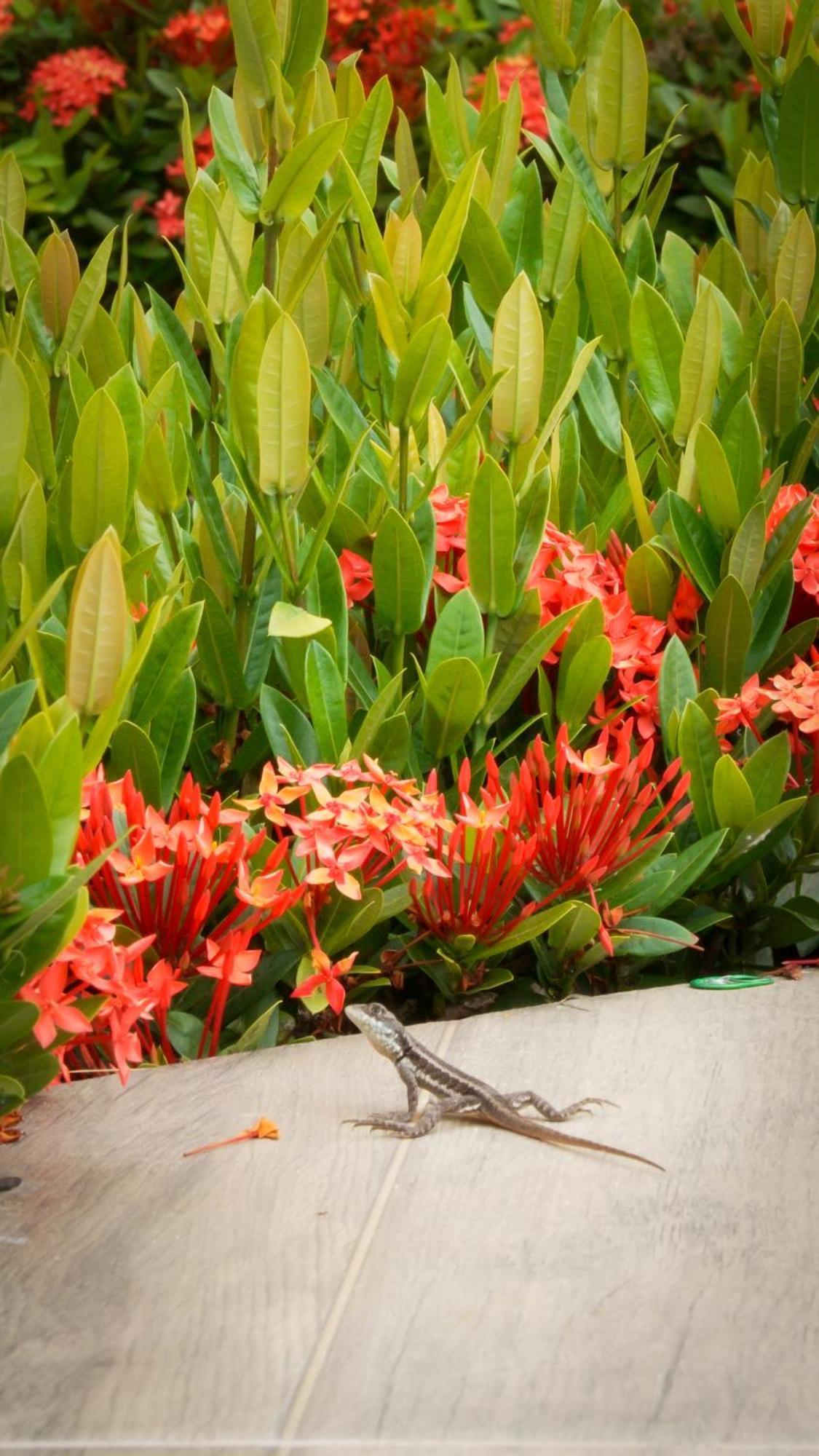 Bem Bahia Hotel - Rede Bem Bahia Mutari Bagian luar foto